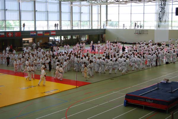 Ju-Jitsu