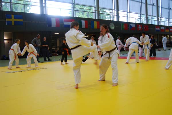 Ju-Jitsu