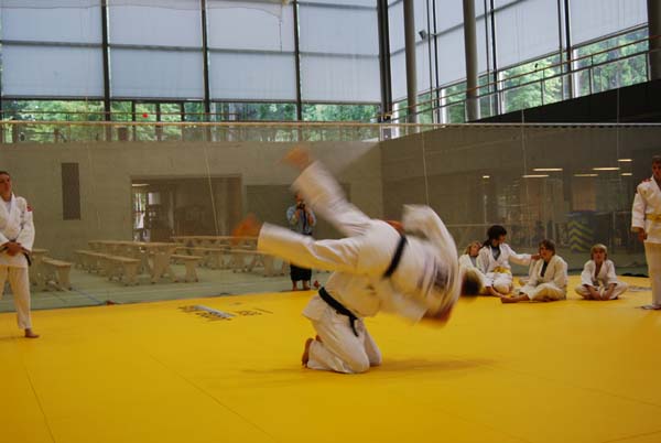 Ju-Jitsu