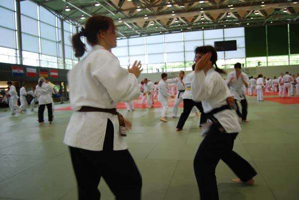 Ju-Jitsu