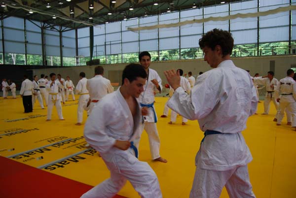 Ju-Jitsu