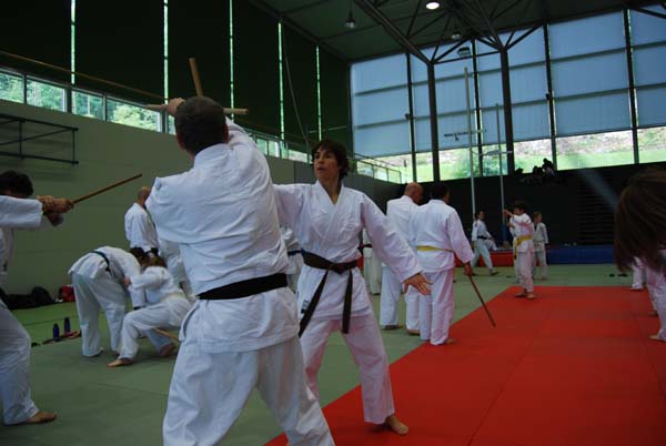 Ju-Jitsu