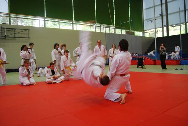 Ju-Jitsu