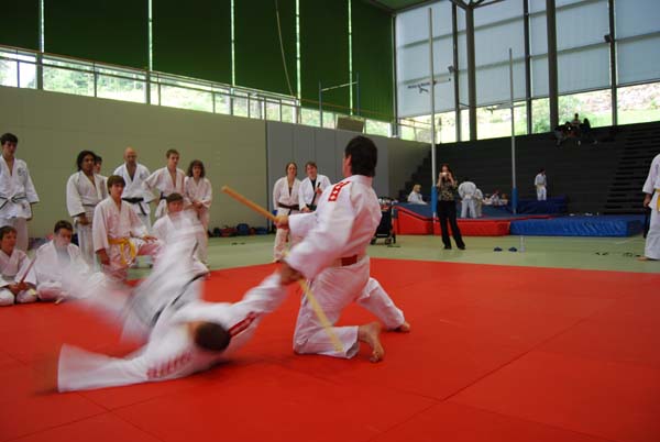 Ju-Jitsu