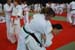 Ju-Jitsu