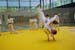 Ju-Jitsu