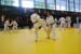 Ju-Jitsu