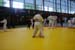 Ju-Jitsu