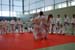 Ju-Jitsu