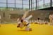 Ju-Jitsu