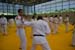 Ju-Jitsu