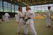Ju-Jitsu