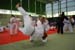 Ju-Jitsu