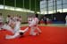 Ju-Jitsu
