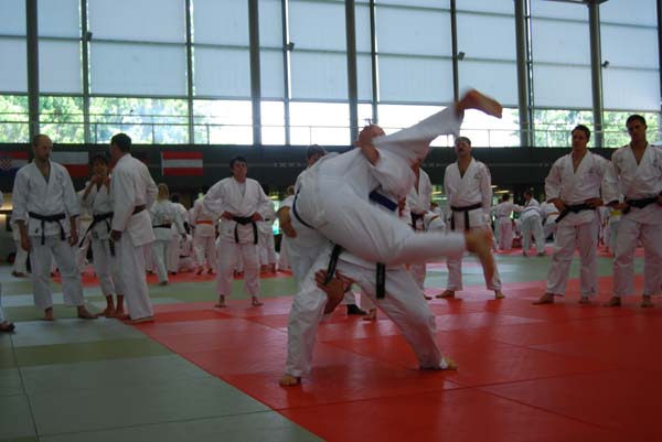 Ju-Jitsu