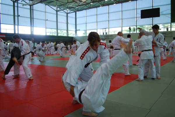 Ju-Jitsu