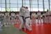 Ju-Jitsu
