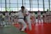 Ju-Jitsu