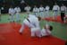 Ju-Jitsu