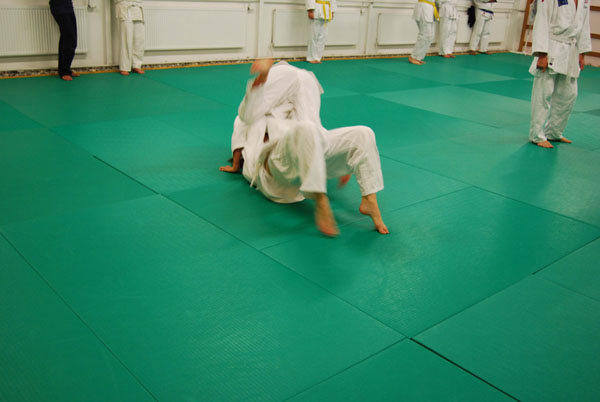 Bushido