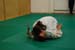 Bushido