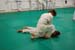 Bushido