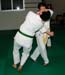 Bushido