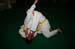 Bushido