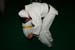 Bushido