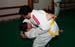Bushido