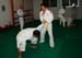 Bushido