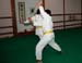 Bushido