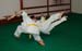 Bushido