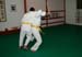 Bushido