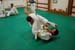 Bushido