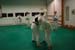 Bushido