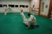 Bushido