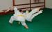 Bushido
