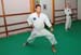 Bushido