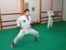 Bushido