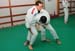 Bushido