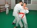 Bushido