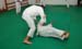 Bushido