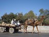 Mandawa 004