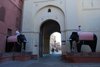 Bikaner 016