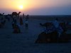 Jaisalmer 137