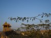 Jaisalmer 008