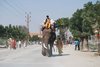 Ranakpur 007