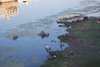 Udaipur 151
