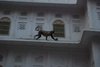 Pushkar 025